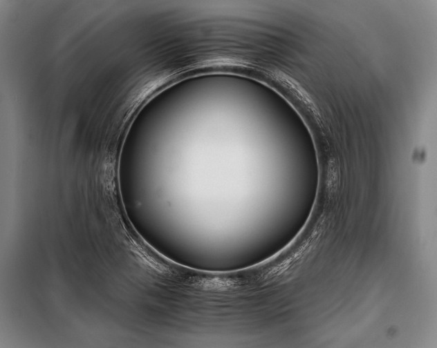 X0000100941321200807011235