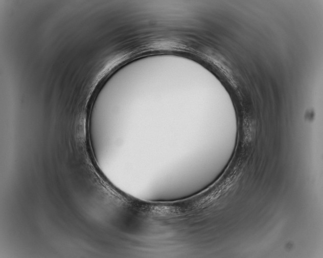 X0000100941322200807011235