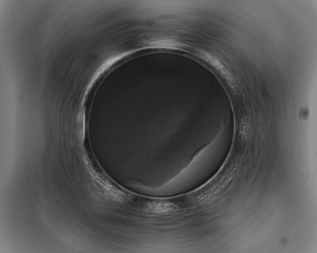 X0000100941323200807011235