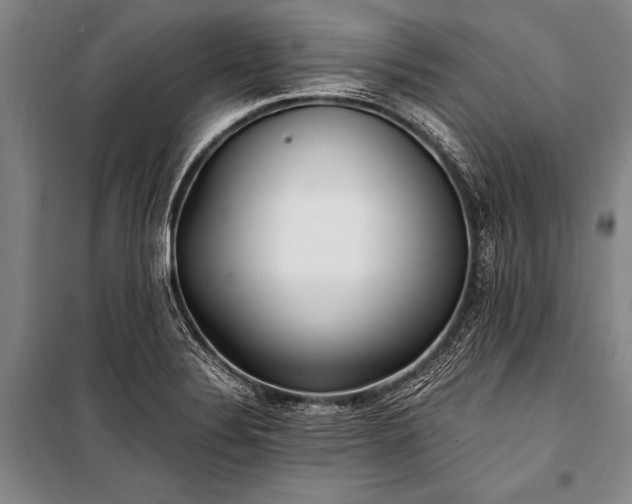 X0000100941324200807011235