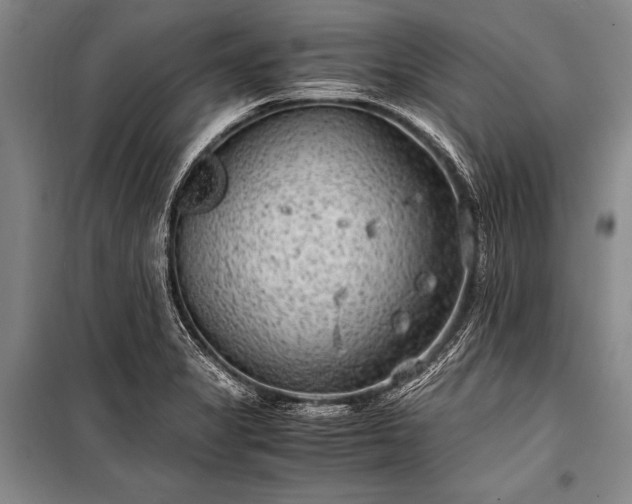 X0000100941325200807011235