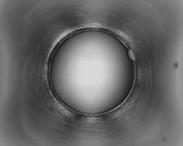 X0000100941326200807011235