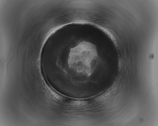 X0000100941327200807011236