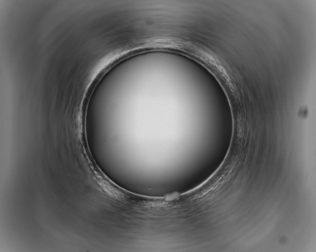 X0000100941328200807011236