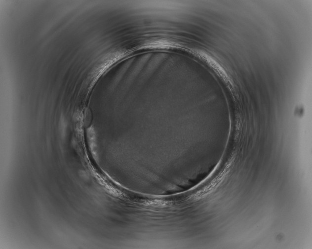 X0000100941329200807011236