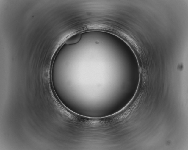 X0000100941330200807011236