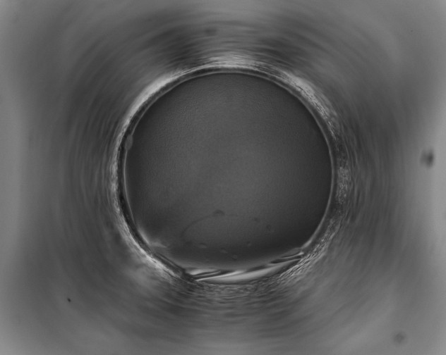 X0000100941331200807011236