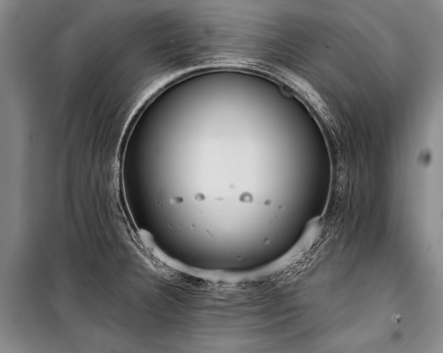 X0000100941332200807011236