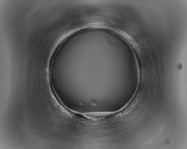 X0000100941334200807011236