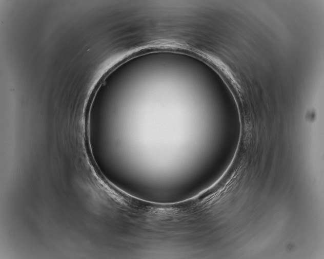 X0000100941335200807011236