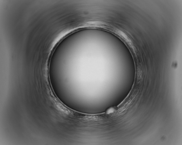 X0000100941336200807011236