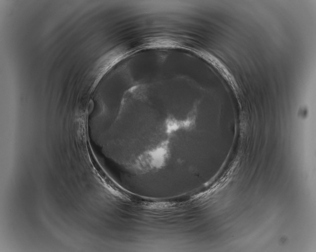 X0000100941337200807011236