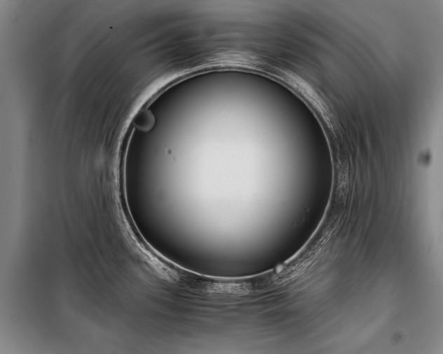 X0000100941339200807011236