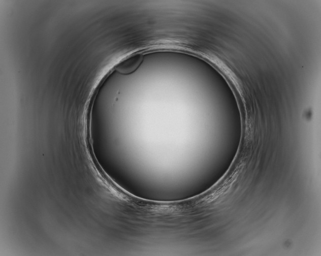 X0000100941341200807011236