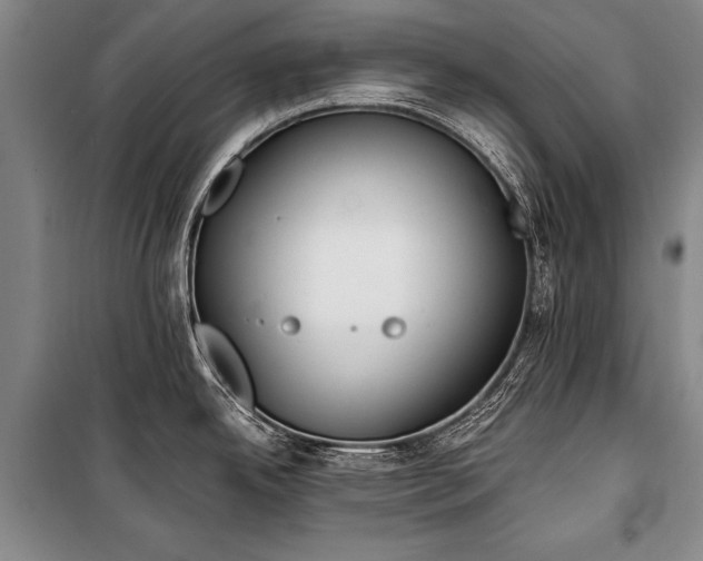 X0000100941342200807011236