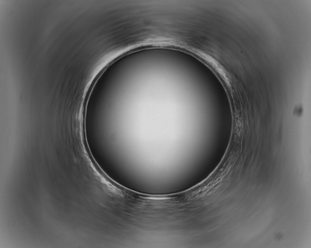 X0000100941343200807011236