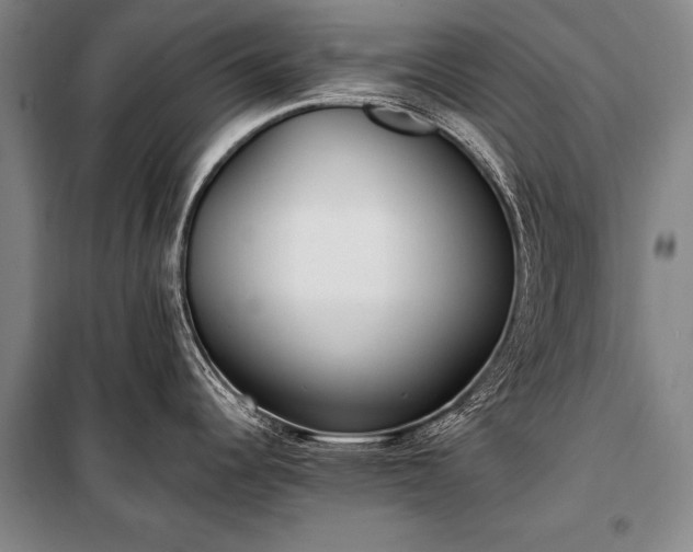 X0000100941344200807011236