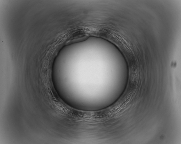 X0000100941345200807011235