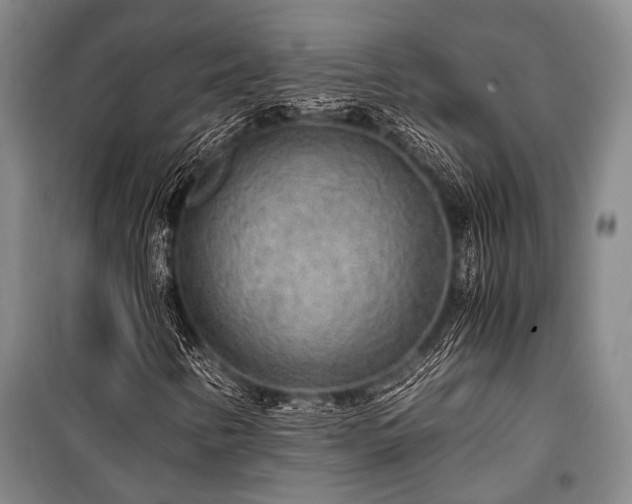 X0000100941346200807011235