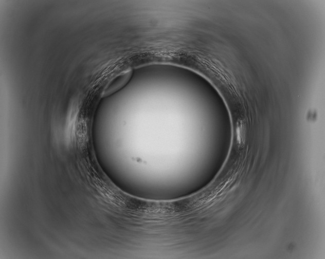 X0000100941347200807011235