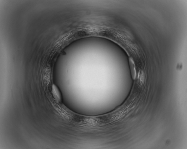 X0000100941348200807011235