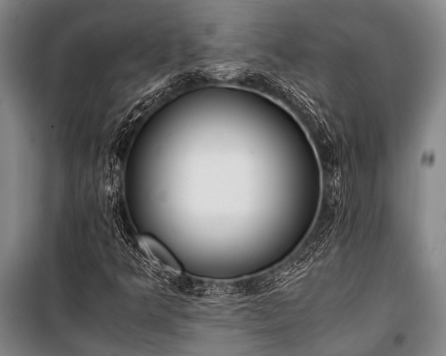 X0000100941349200807011235