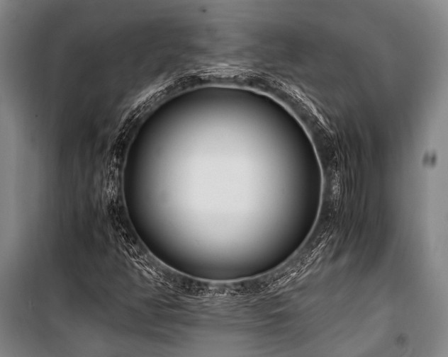 X0000100941350200807011235