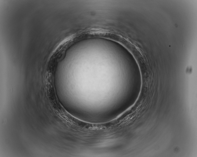 X0000100941351200807011235