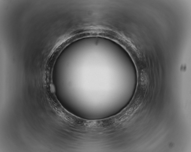 X0000100941352200807011235