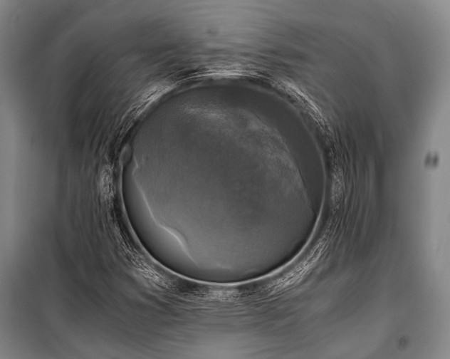 X0000100941353200807011235