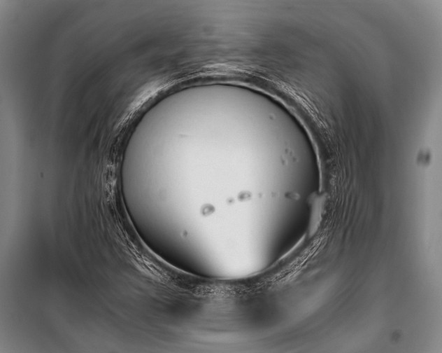 X0000100941355200807011235