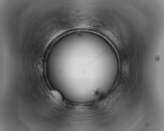 X0000100941356200807011235