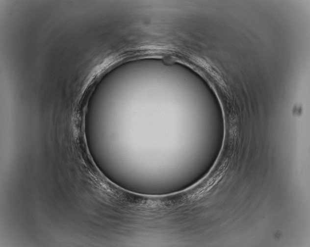 X0000100941357200807011235