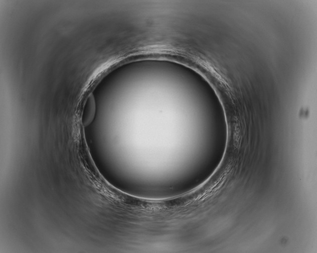 X0000100941358200807011235