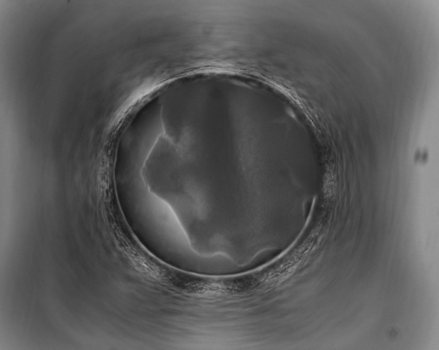 X0000100941359200807011235