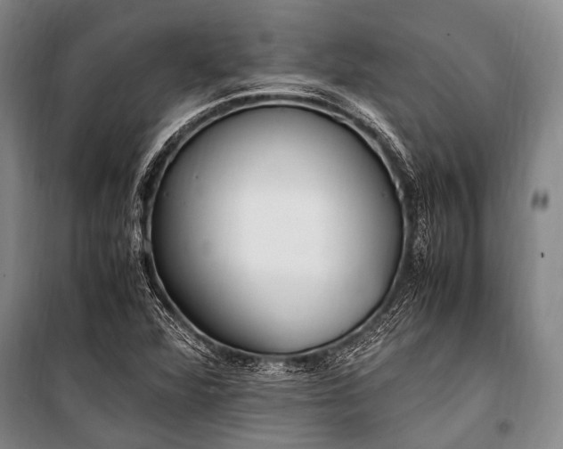 X0000100941360200807011235