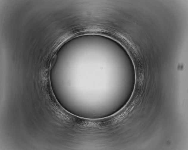 X0000100941361200807011235