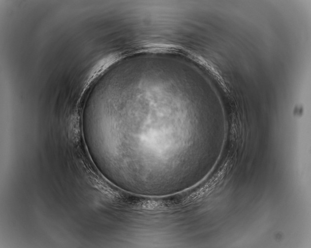 X0000100941362200807011235