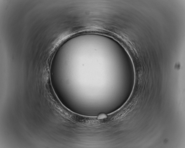 X0000100941363200807011235