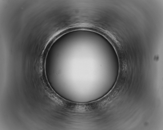 X0000100941364200807011235