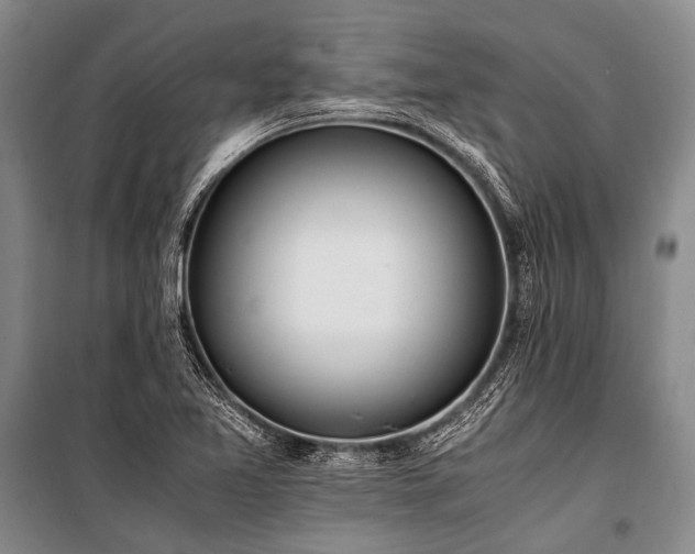 X0000100941365200807011235