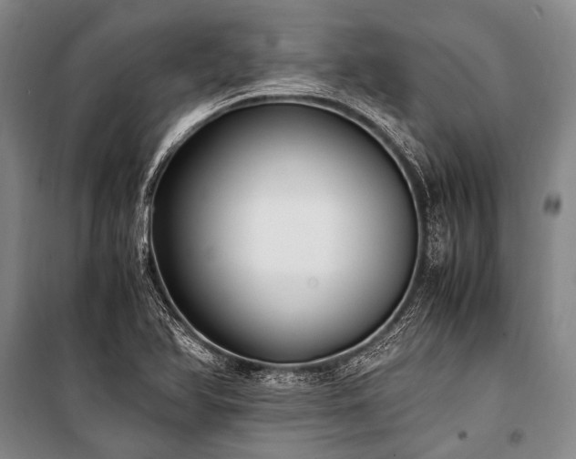 X0000100941366200807011235