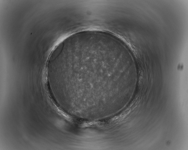 X0000100941367200807011235