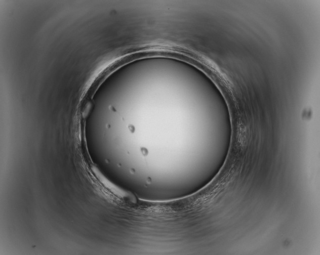 X0000100941368200807011235