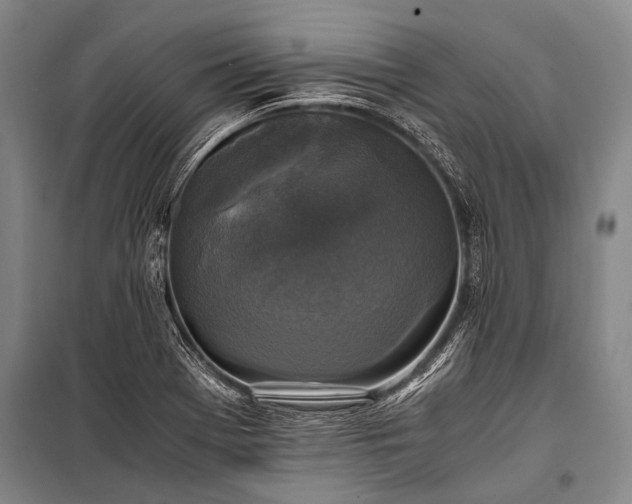 X0000100941369200807011235