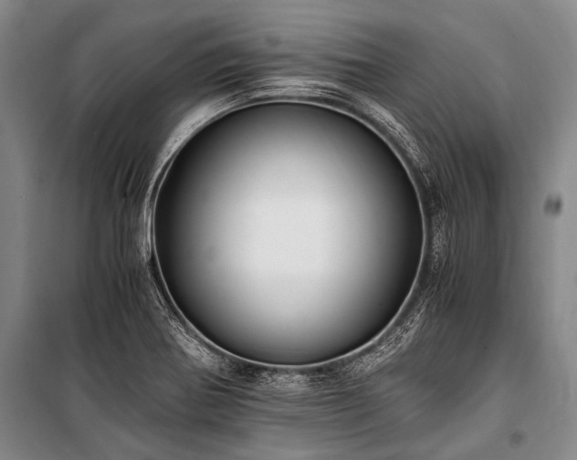 X0000100941370200807011235