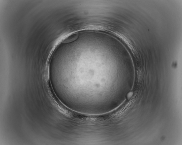 X0000100941371200807011235