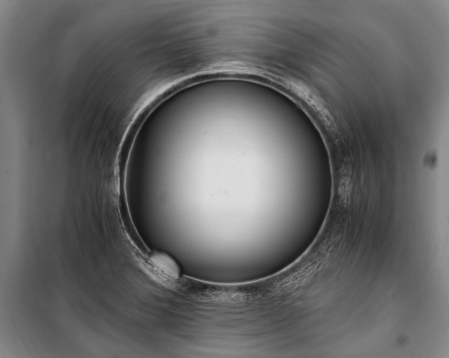 X0000100941372200807011235