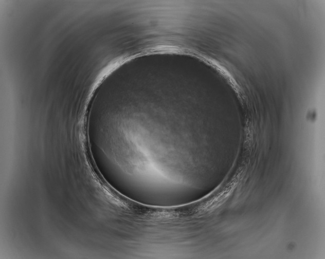 X0000100941373200807011235