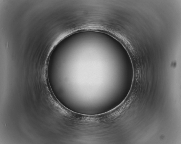 X0000100941374200807011235